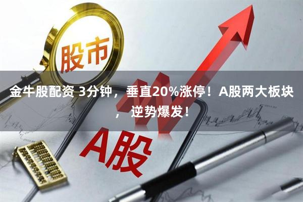 金牛股配资 3分钟，垂直20%涨停！A股两大板块， 逆势爆发！