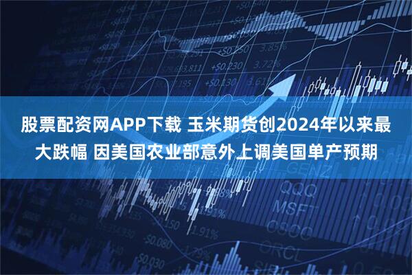 股票配资网APP下载 玉米期货创2024年以来最大跌幅 因美国农业部意外上调美国单产预期