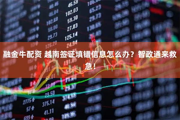 融金牛配资 越南签证填错信息怎么办？智政通来救急！