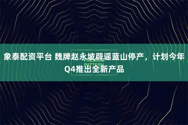 象泰配资平台 魏牌赵永坡辟谣蓝山停产，计划今年Q4推出全新产品